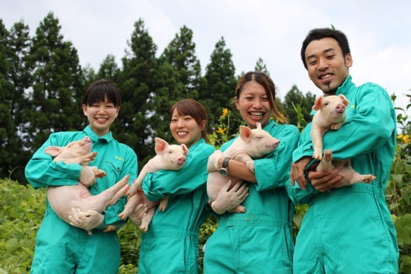 Có nên Học ngành Kỹ Sư Chăn Nuôi