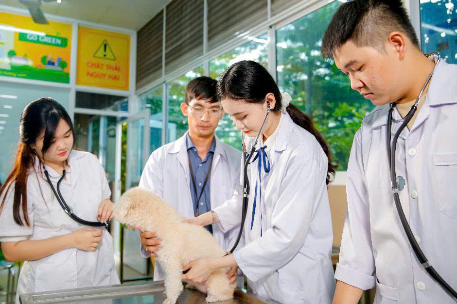 Lộ trình du học cho học viên tốt nghiệp kỹ sư chăn nuôi