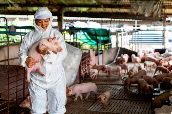 Học trực tuyến ngành kỹ sư chăn nuôi